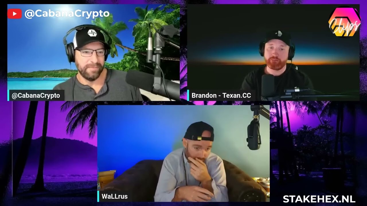 How high can the HEX price go in 2023? (CabanaCrypto, Brandon, WaLLrus)