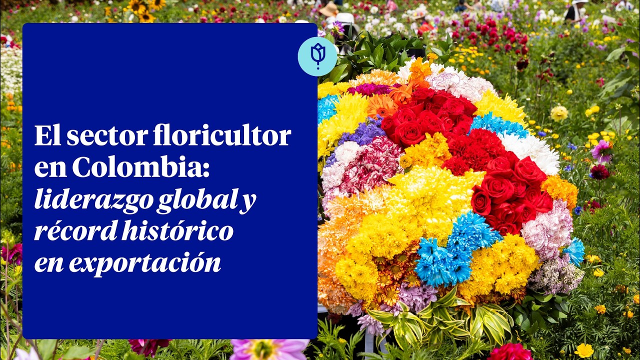 El sector floricultor en Colombia: liderazgo global y récord histórico en exportación