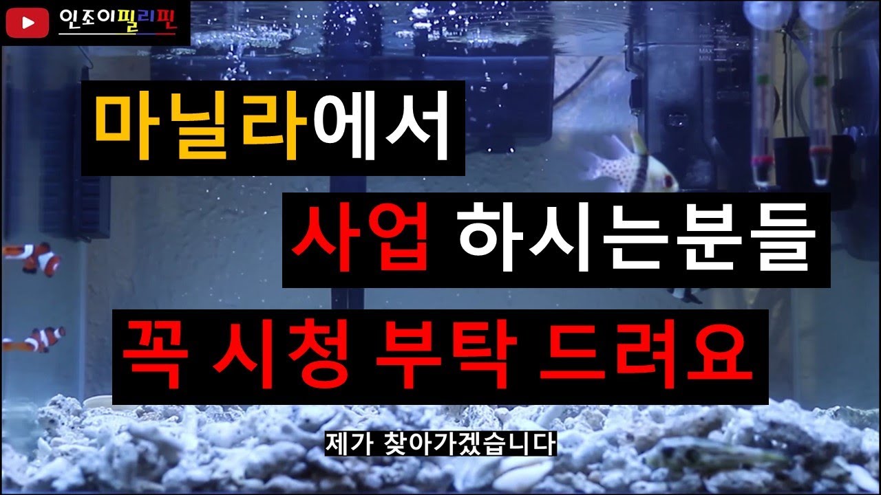 필리핀 마닐라에서 사업하시는 사장님들 영상 꼭 좀  봐주세요..