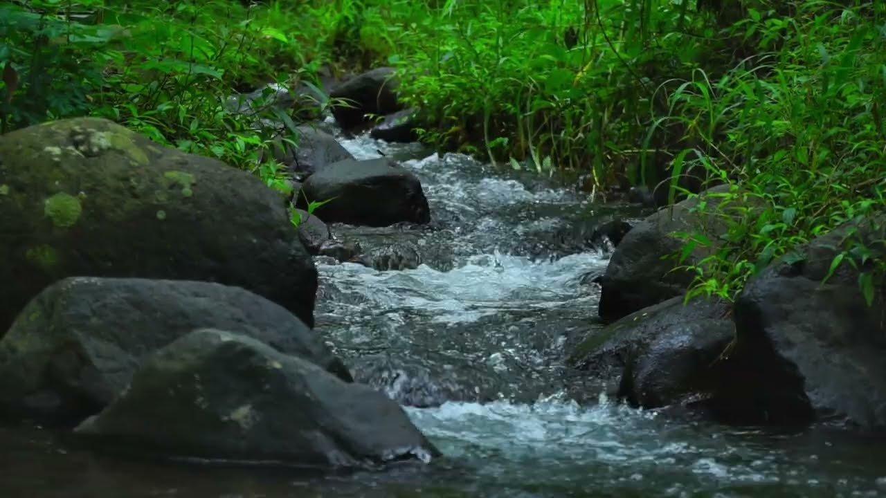 Natural River Sounds for Studying and Focus | Relaxing Flowing Water Ambience 