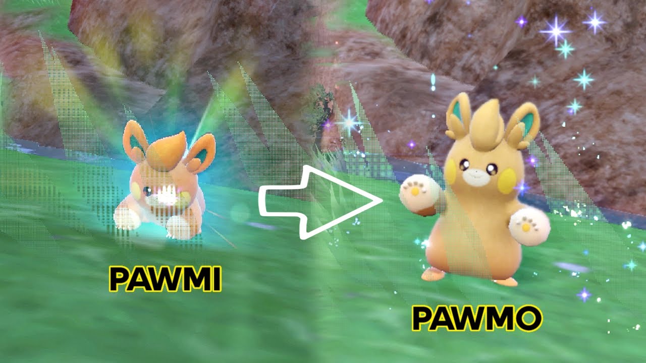 Pawmi evolves to Pawmo // Pokemon Evolution