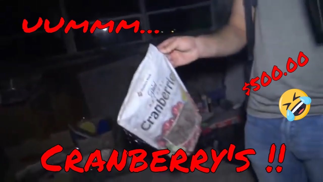 CJ And Sonny’s Blunders And Bloopers Compilation # 5 With Brother Frank TV Ridiculously Funny