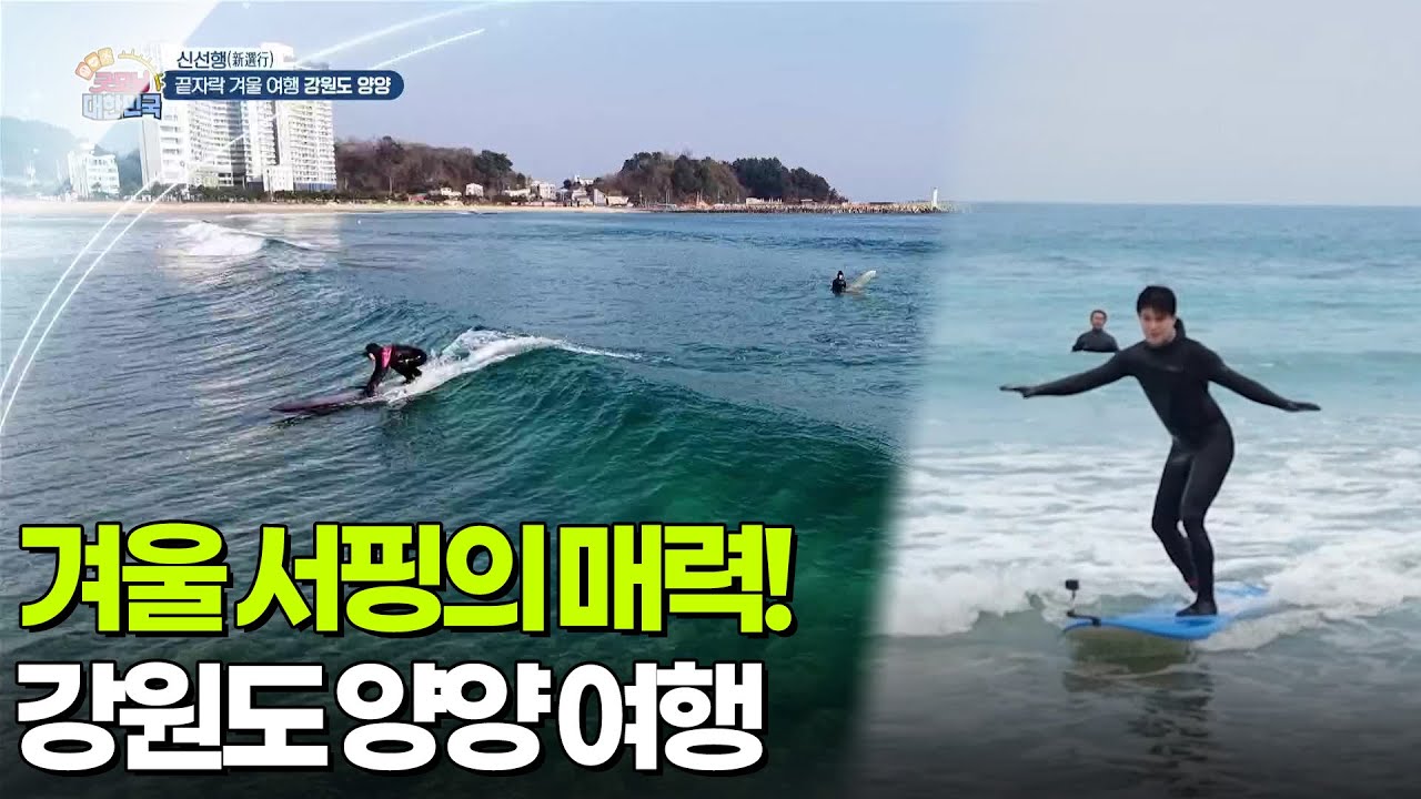 [신선행] 겨울 서핑의 매력! 강원도 양양 [생방송 굿모닝 대한민국] | KBS 260227 방송