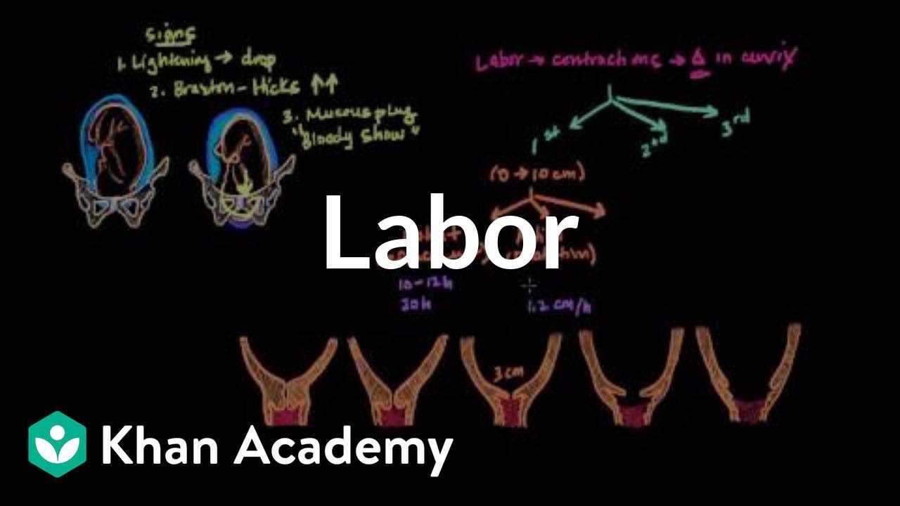 Labor | Reproductive system physiology | NCLEX-RN | Khan Academy