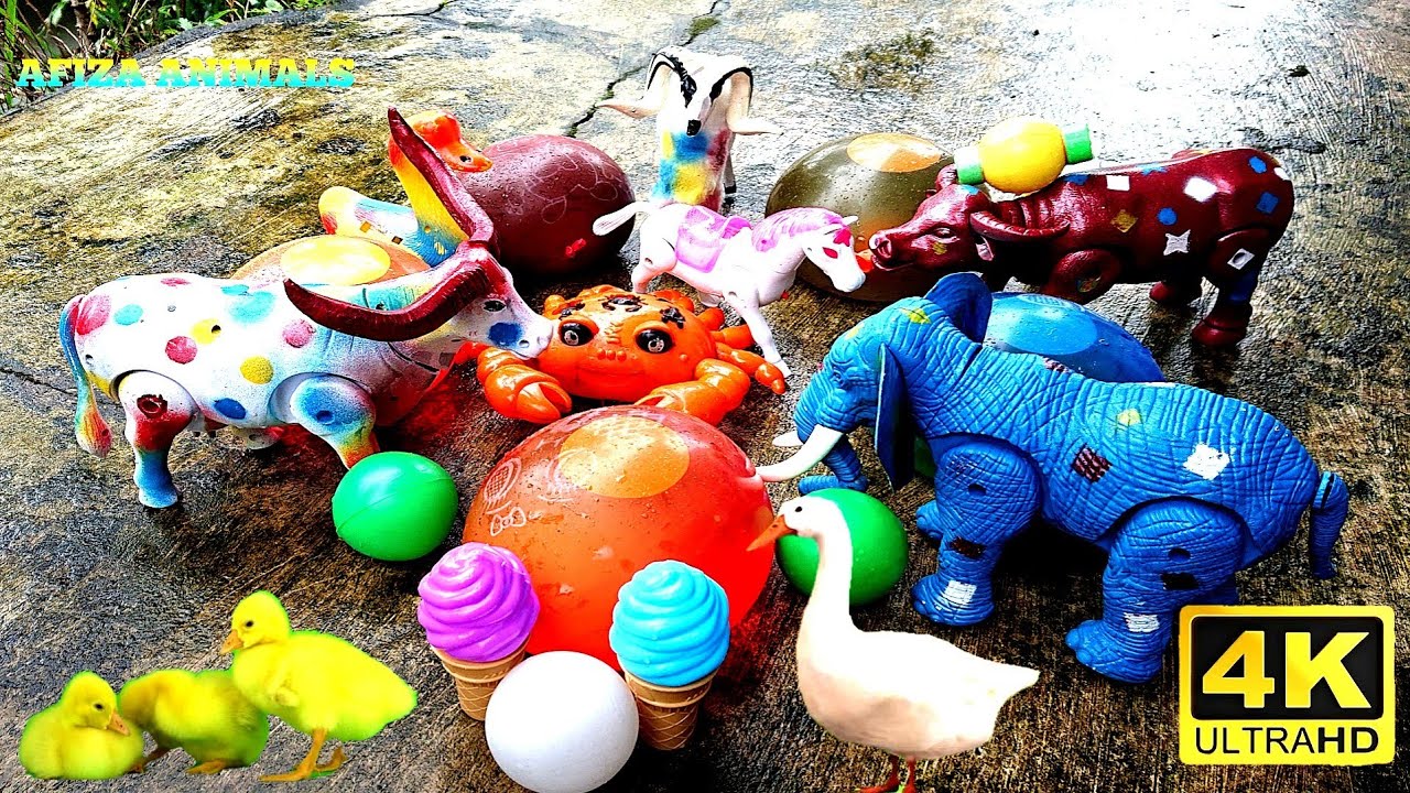 Seru..!!! Drama Mencari Mainan Hewan Di Dalam Balon || Sapi, Sapi Lucu, Kepiting, Burung, Kerbau 001