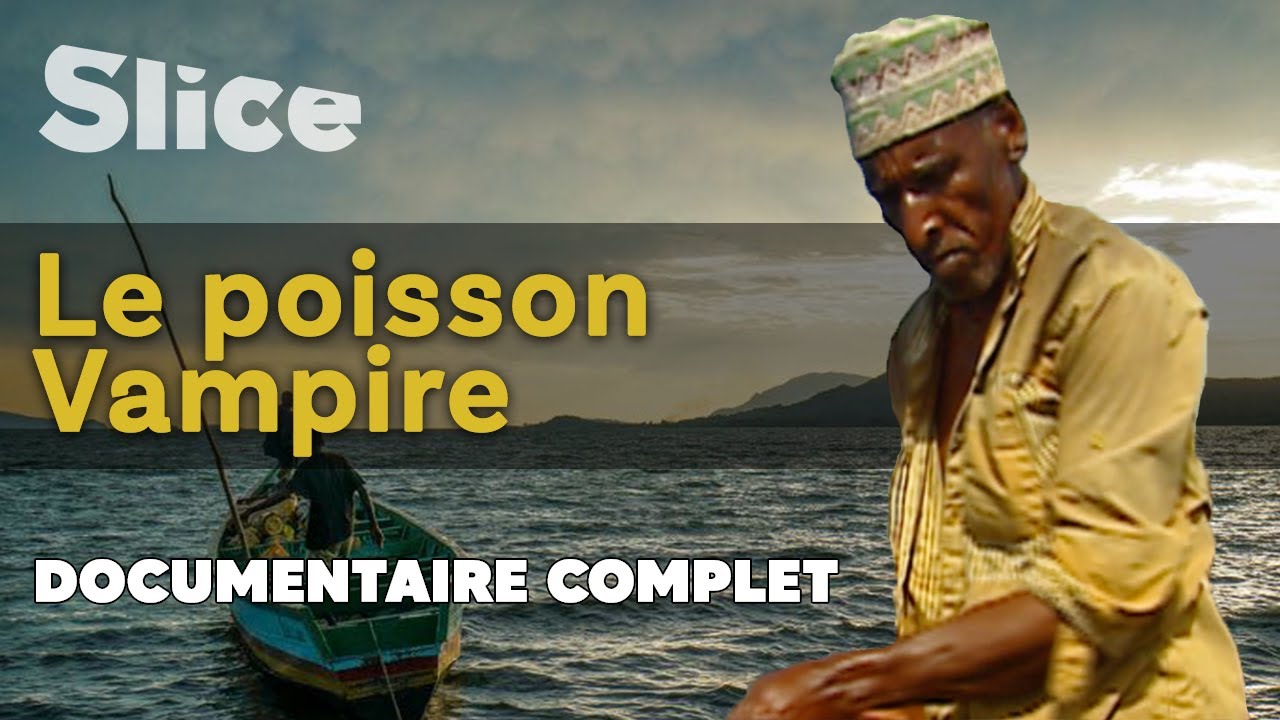 Le poisson vampire | SLICE I Documentaire complet