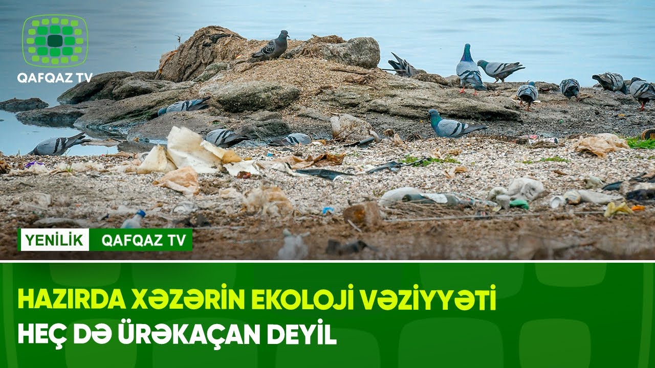 HAZIRDA XƏZƏRİN EKOLOJİ VƏZİYYƏTİ HEÇ DƏ ÜRƏKAÇAN DEYİL