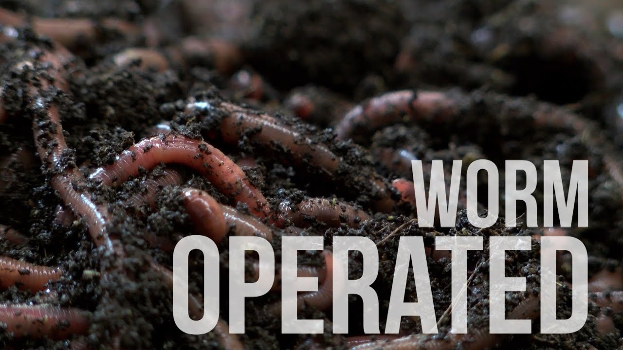 The road to healthy living may be lined with worms