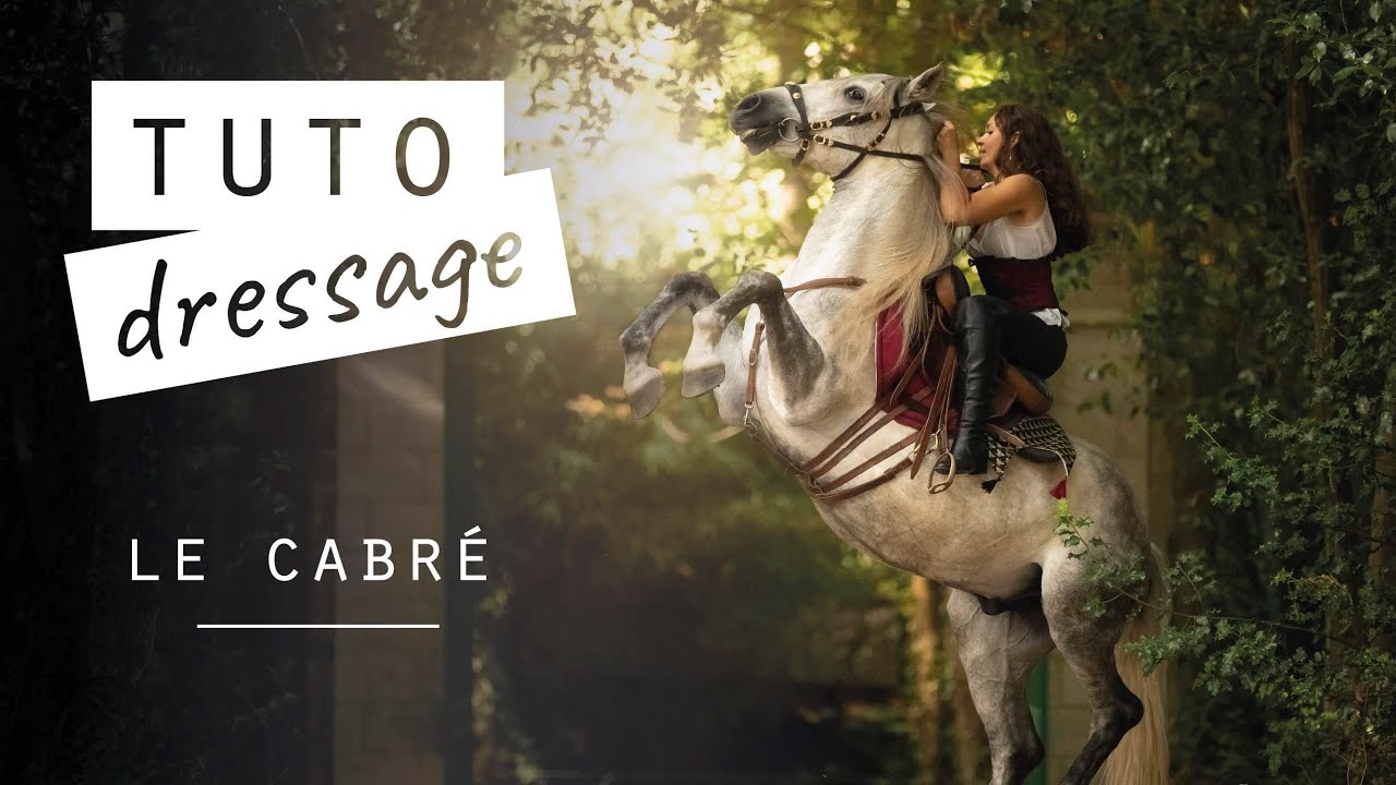 [TUTO] DRESSAGE : Le cabr&eacute;