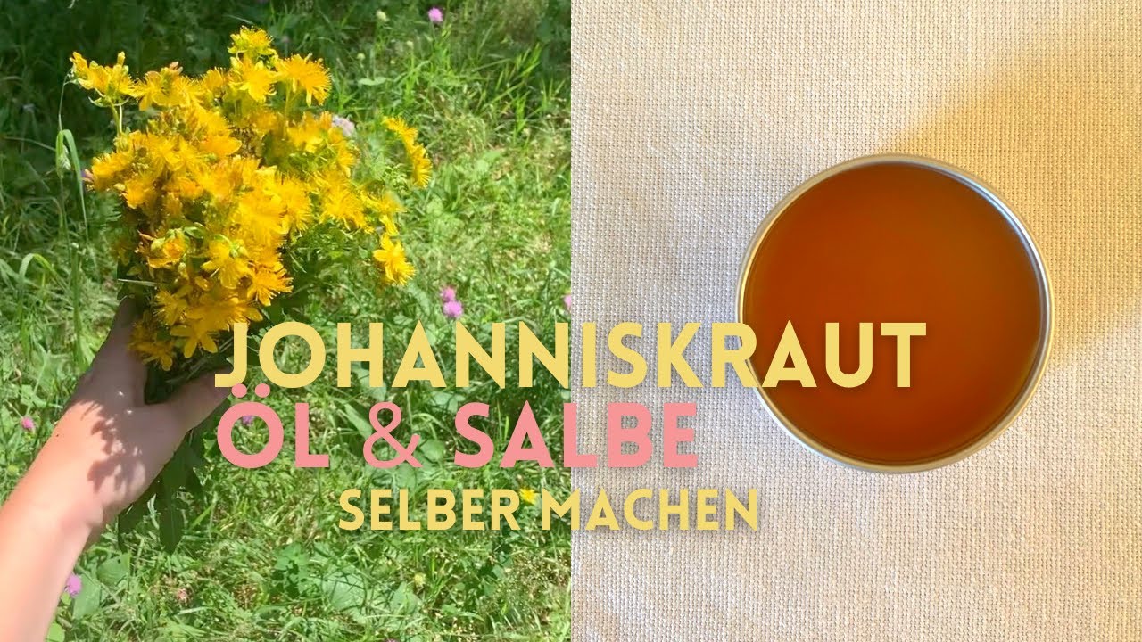 Johanniskraut-Öl und Salbe selber machen | Rotöl