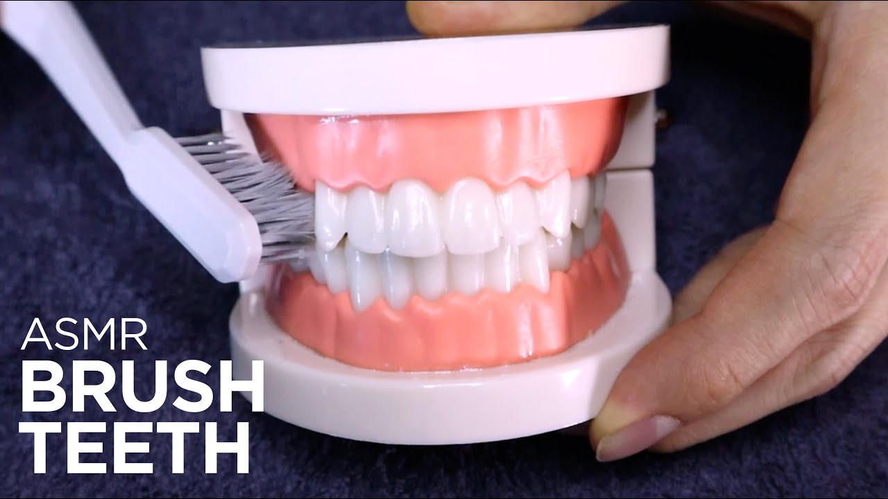ASMR | Brush your teeth before sleep 🦷🦷🦷 (No Talking)