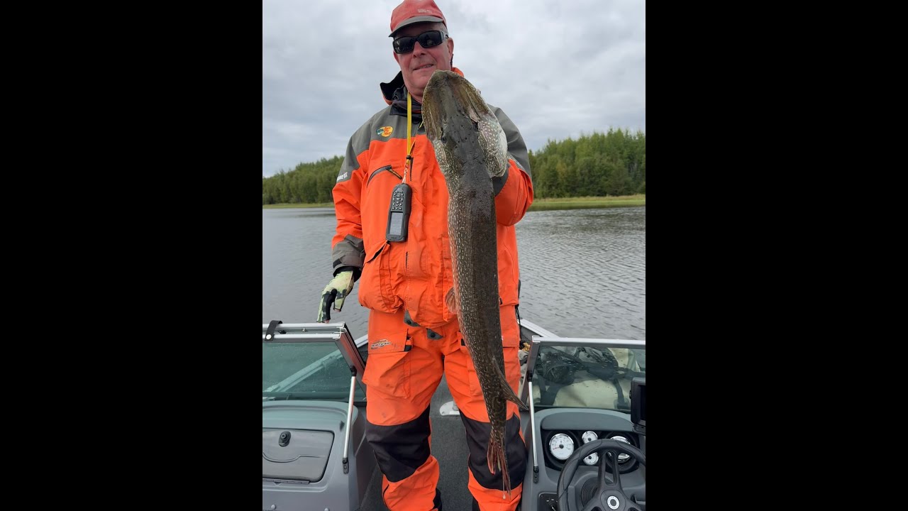 Northern Pike, big fun