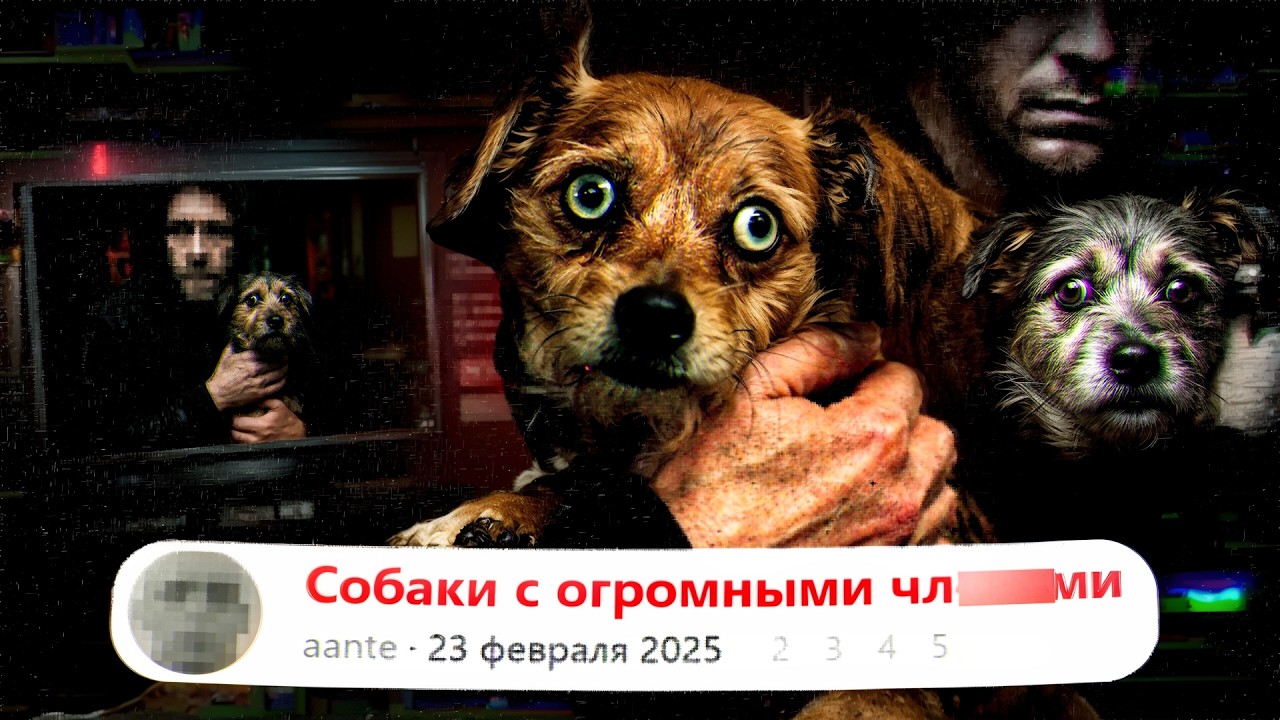 Самые МЕРЗКИЕ форумы Интернета