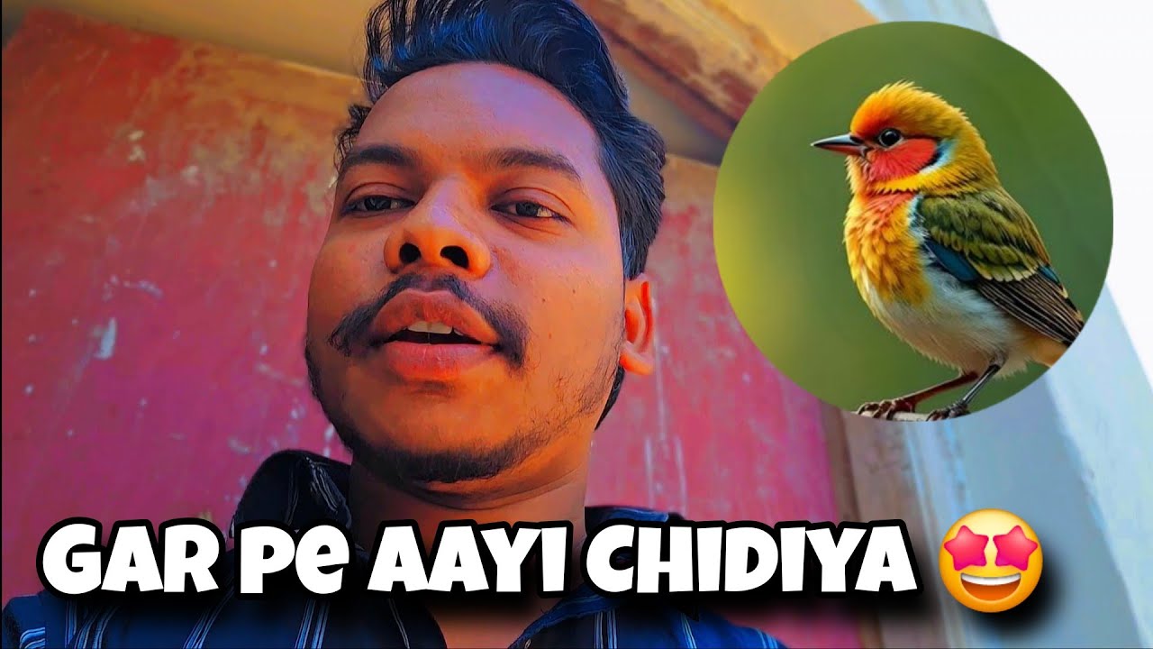  mere🙋Ghar🏡pe aate hai hai🤯😱bahut share🕊🐦chidiya