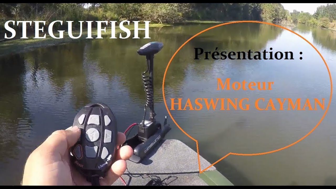 Présentation Moteur HASWING CAYMAN
