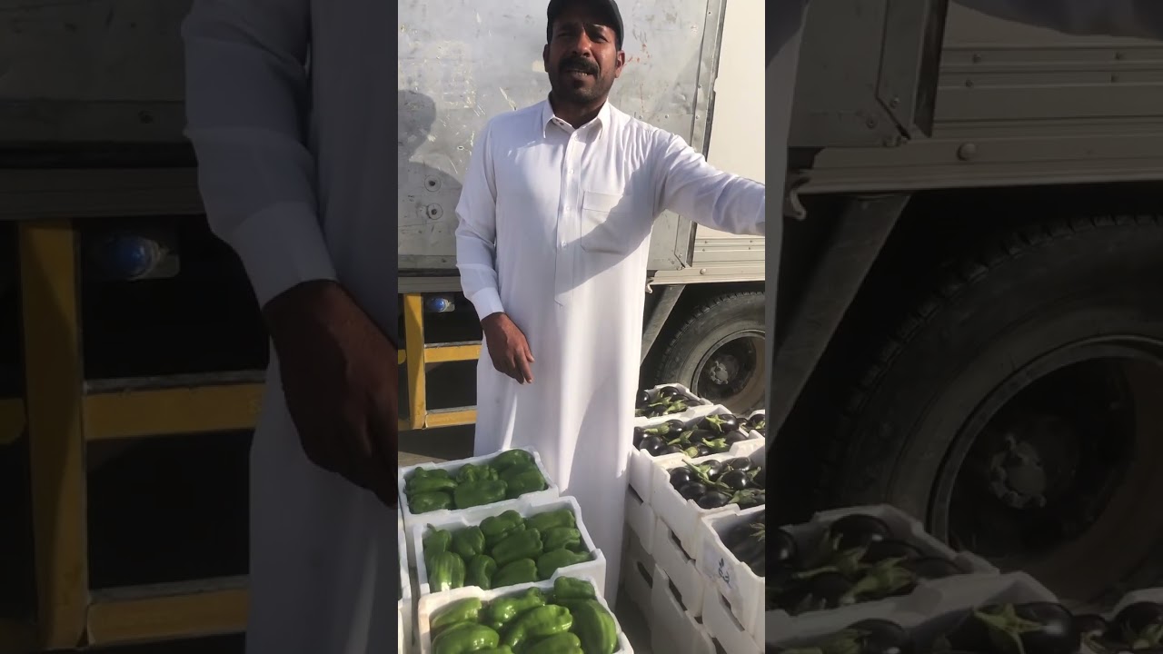 اسعار الخضار في القصيم