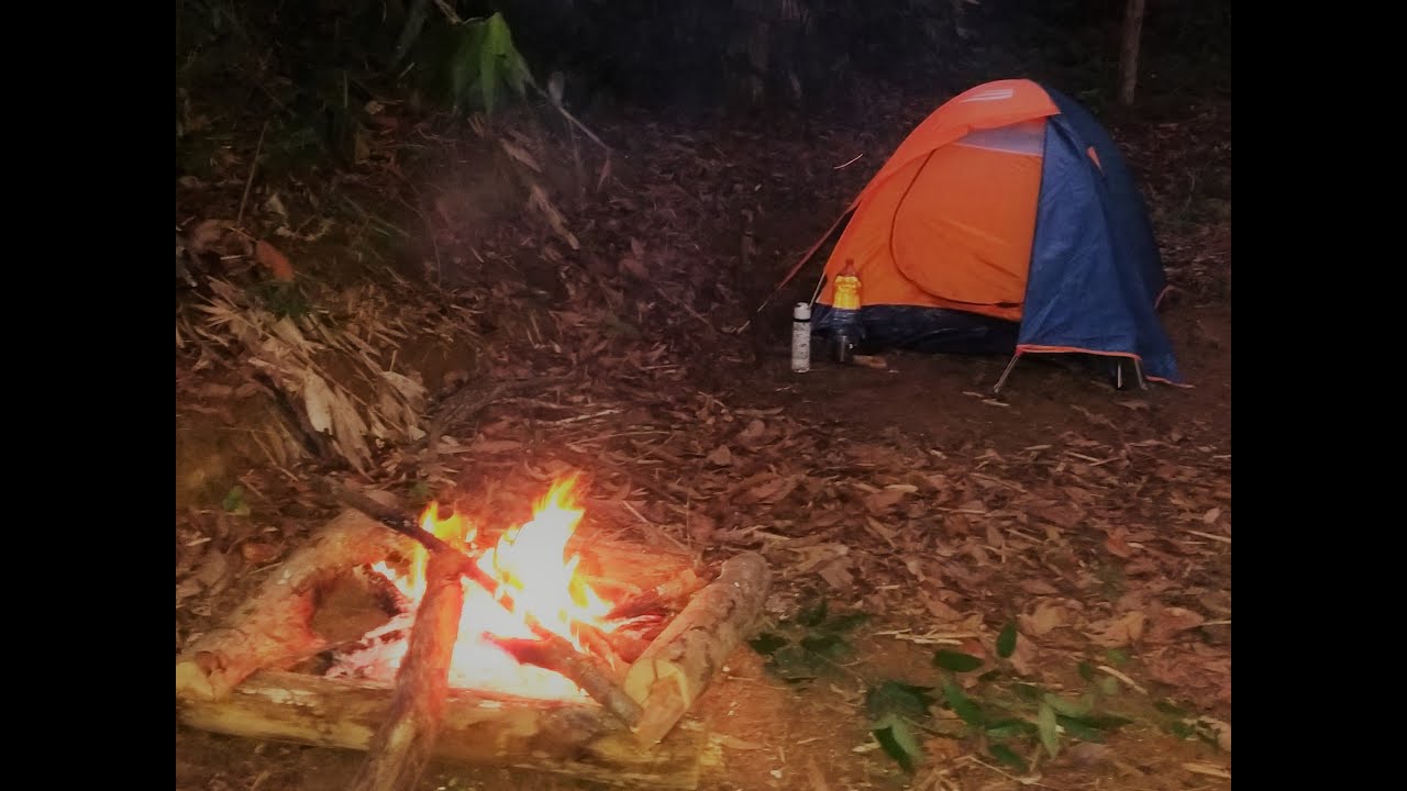Sozinho na mata, animal ronda barraca na madrugada