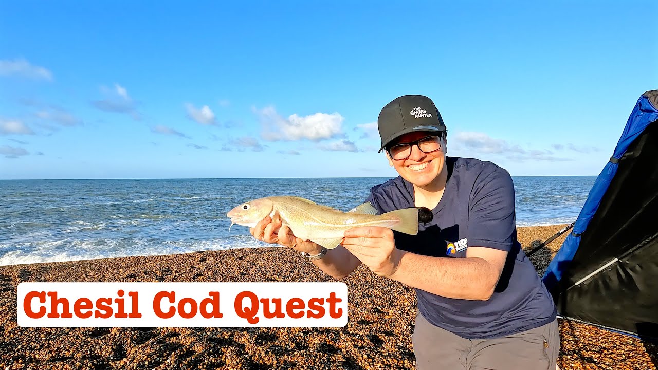 Chesil Cod Quest: September 2025