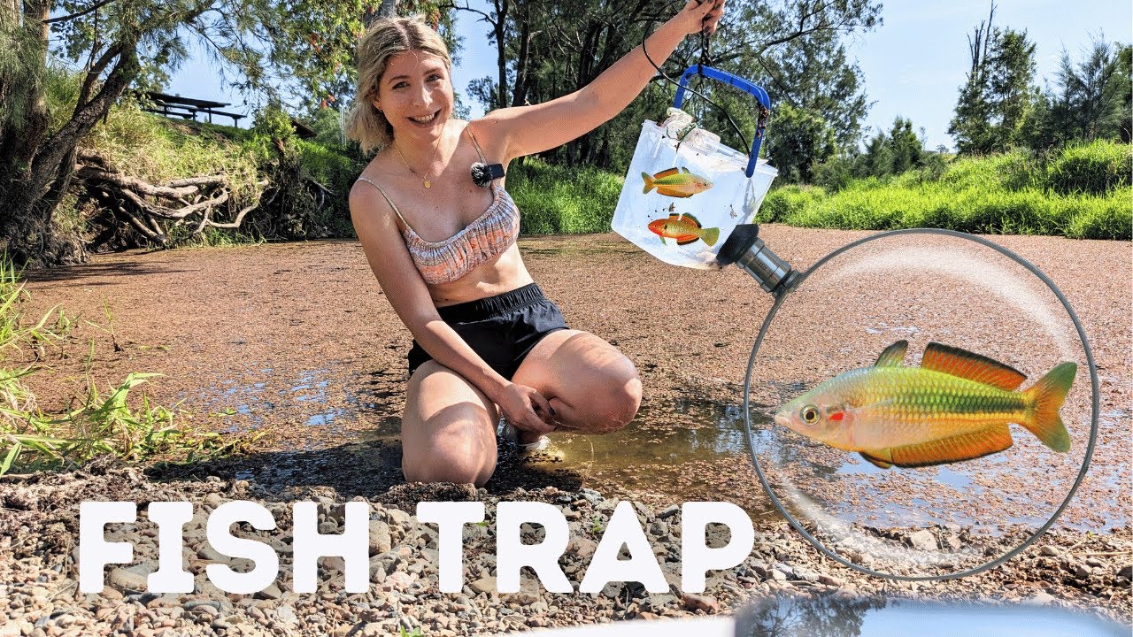 CATCHING Colourful Aquarium Fish - DIY Fish Trap!