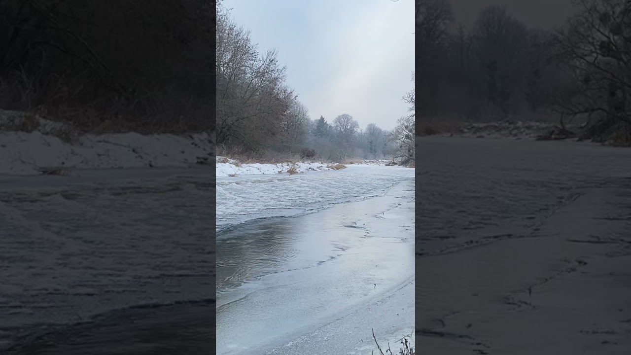 Frozen River, Birds singing - real Winter Calm❄️🥶