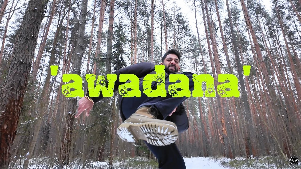 MALI GNZ - AWADANA (Official Music Video)