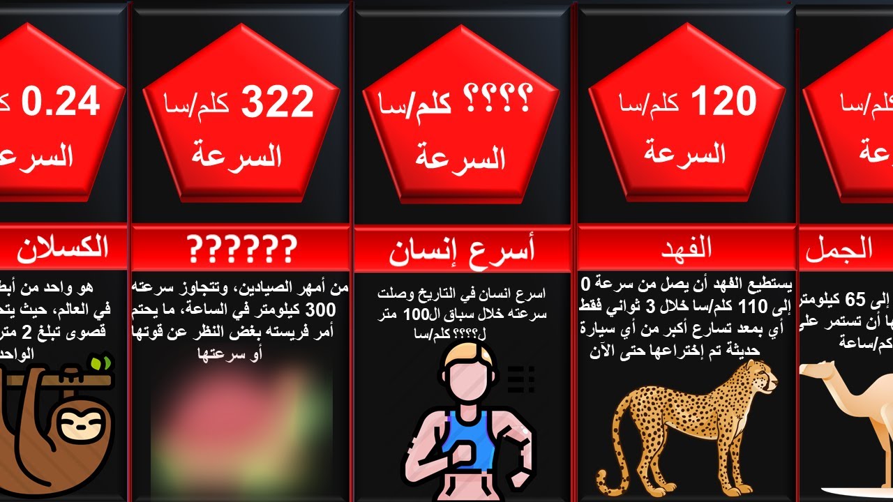 أسرع المخلوقات في الكون (ذبابة أسرع من الفهذ؟؟)