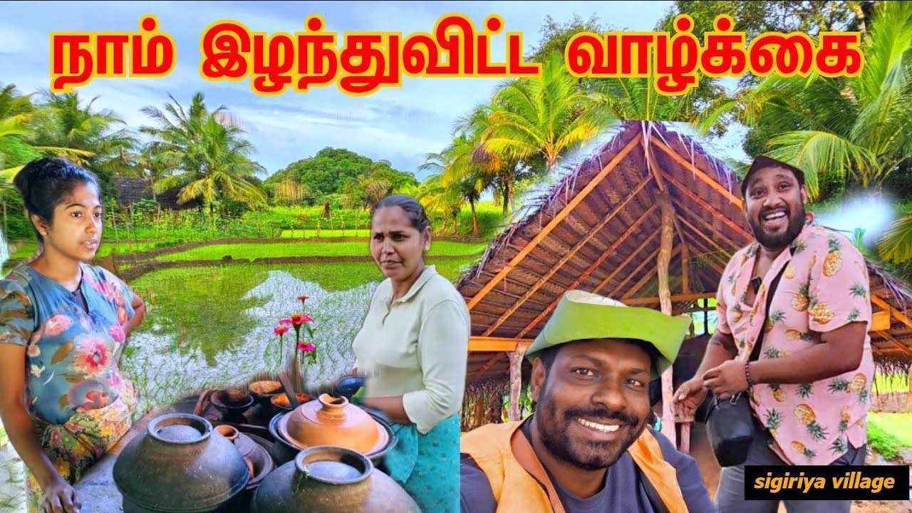 சிங்கள மக்களின் கிராமிய வாழ்க்கை village life | #sigiriya#village
