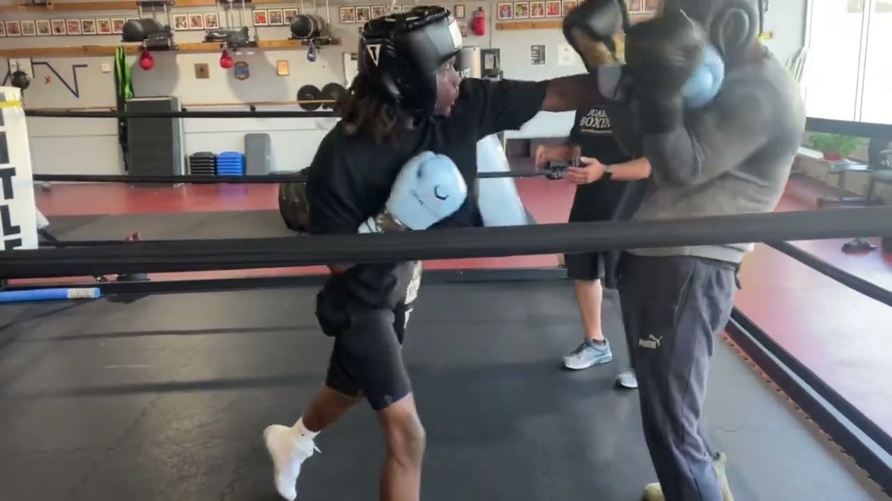 Amateur Boxing Sparring