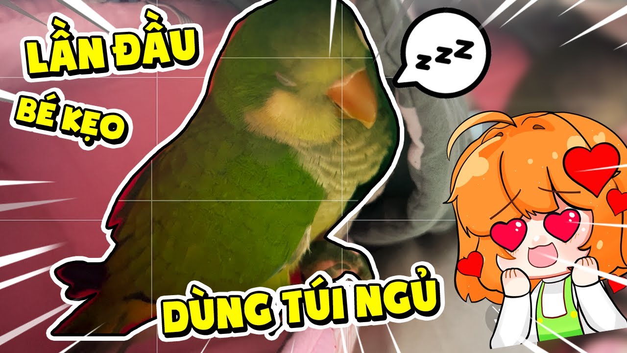 KAMUI MUA TÚI NGỦ MỚI CHO BÉ KẸO | KAMUI NHẬT KÝ CHĂM SÓC PHẦN 7