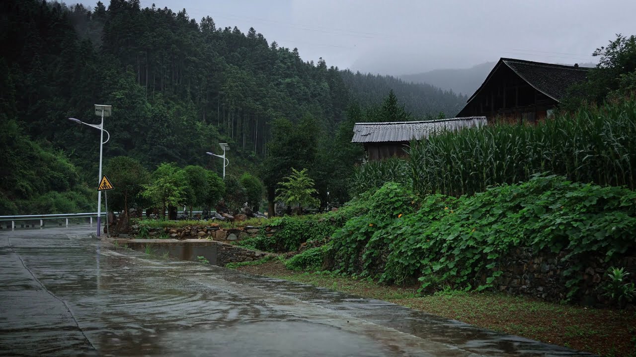 Cozy Rain in the Countryside | Sounds for Deep Sleep, Study & Focus | 4K Nature ASMR