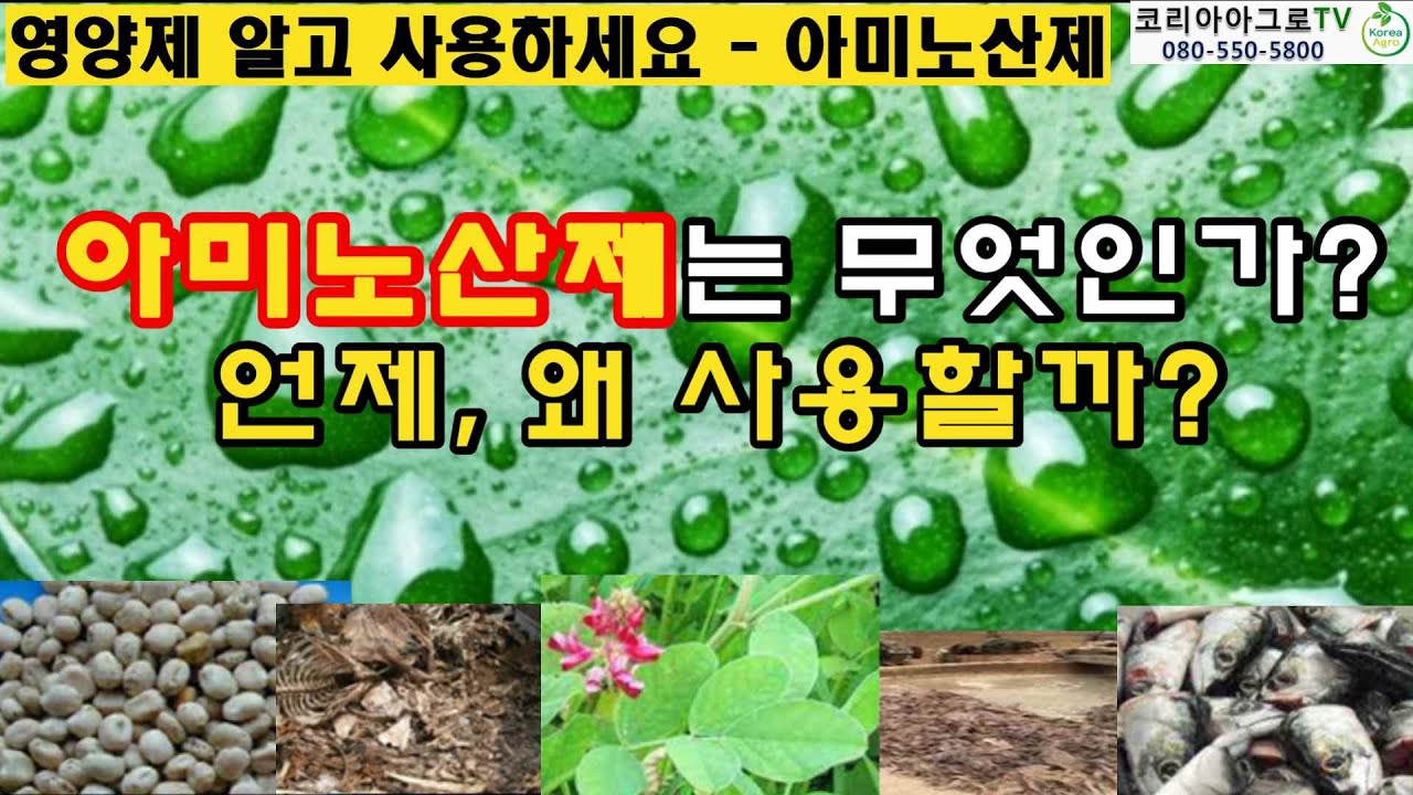 아미노산은 언제 왜 사용하는가? 아미노산제는 무엇인가? 이제 영양제 알고 쓰세요