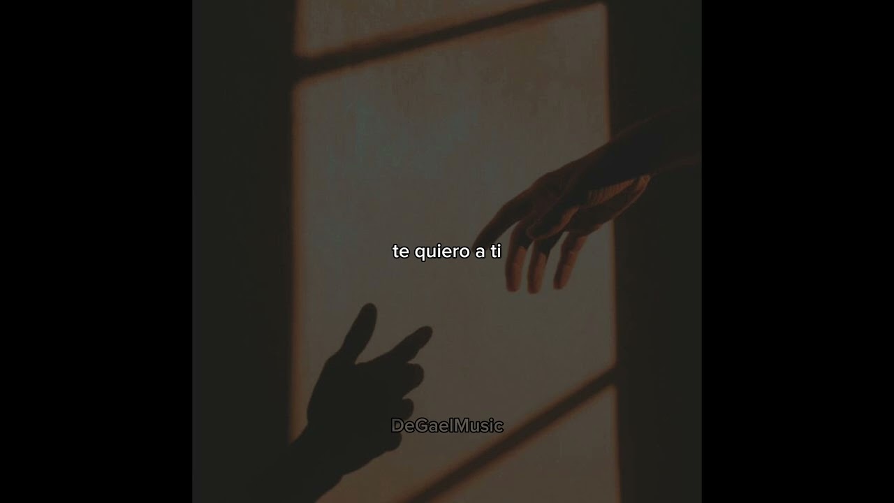Expresión de amor (video lyrics)