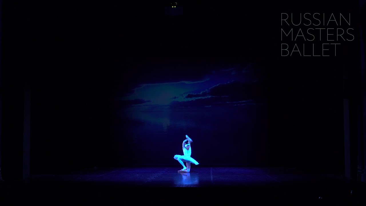 Stars Gala VASP 2019 / The Dying Swan / Oksana Skorik