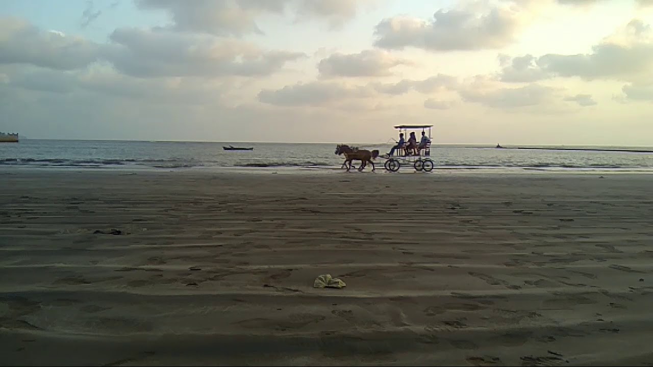 @mandavi