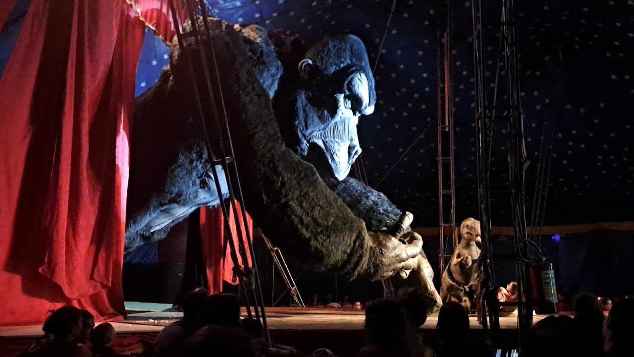 KING KONG NO CIRCO VEGAS EM PALMEIRA DOS ÍNDIOS-AL#culturanordestina#circo 🎪 🎪 