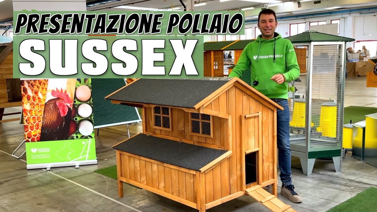 Pollaio Sussex: novit&agrave; 2023 Il Verde Mondo