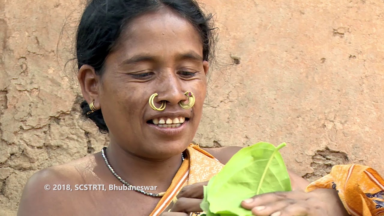 The Didayi Community, Malkangiri, Odisha