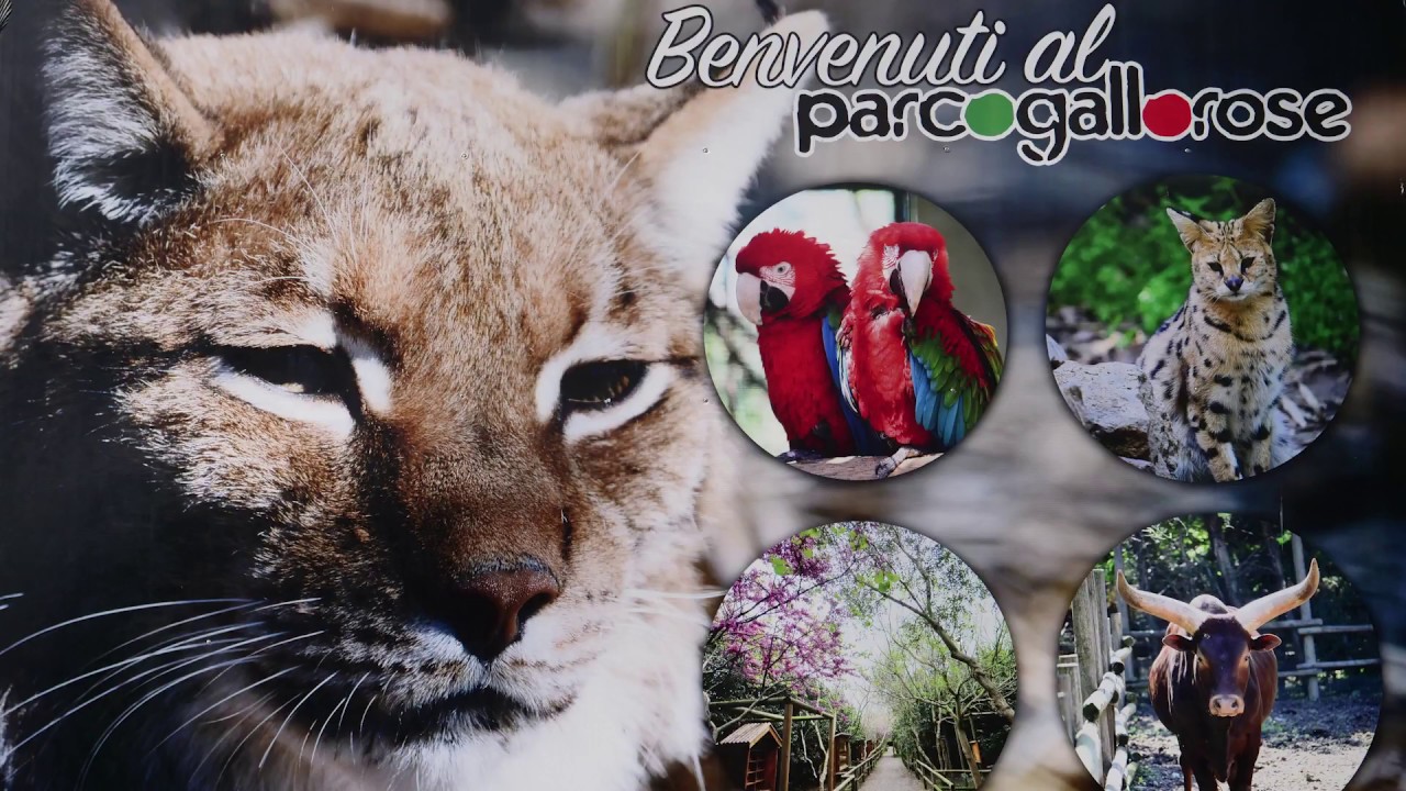 Parco Gallorose a Cecina [natura e animali in Toscana]