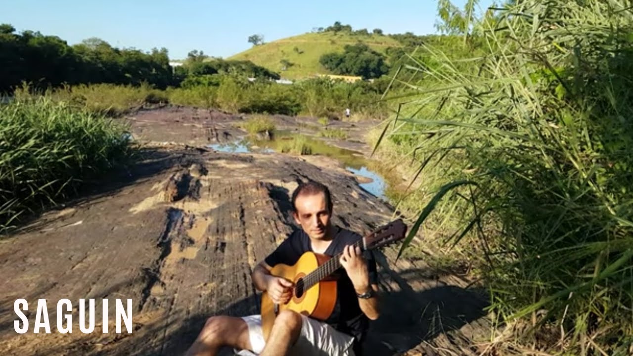 Saguin (Toninho Horta)