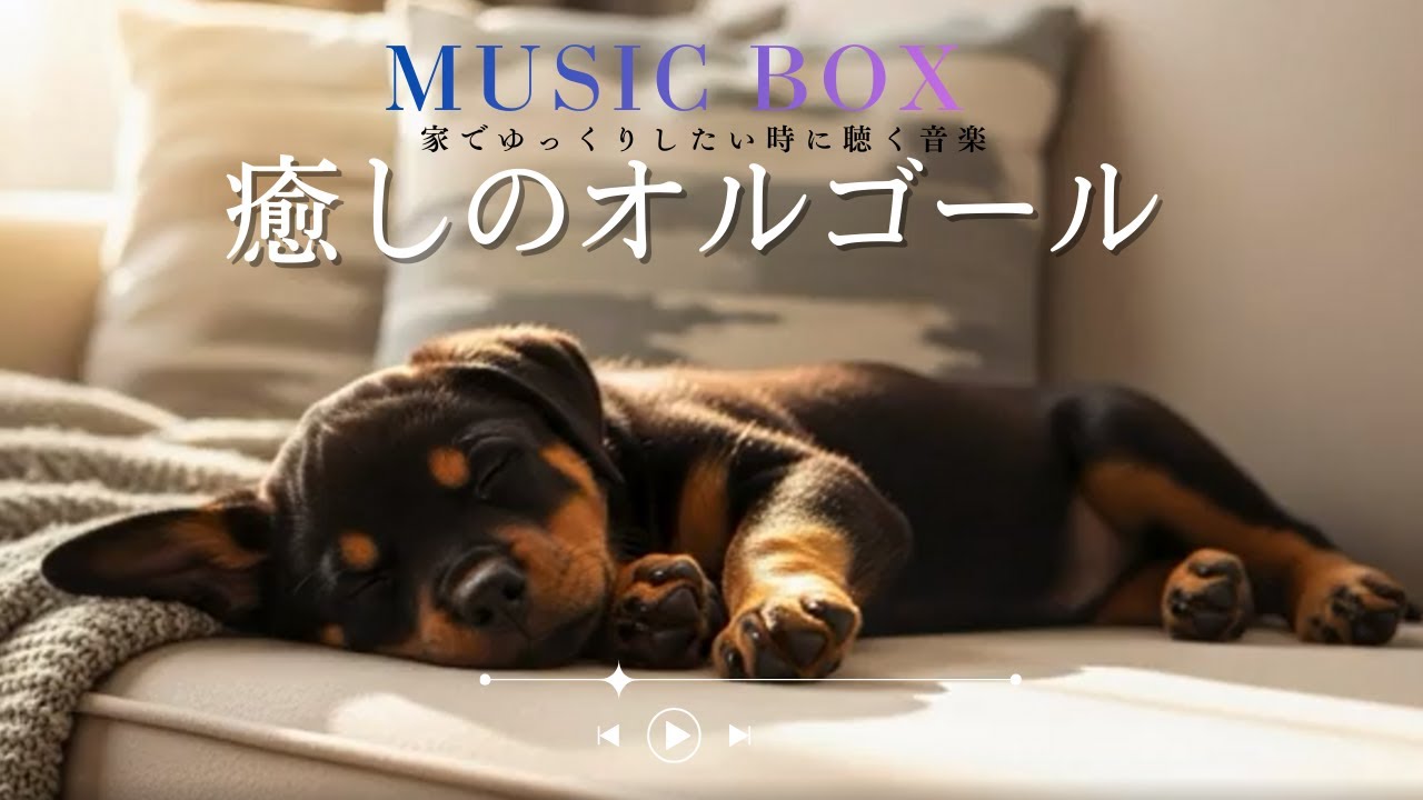 Chill Vibes Only　　Dreamy Music Box & Sleeping Paws　　夢心地なオルゴールと眠る肉球　まったりと過ごす時間