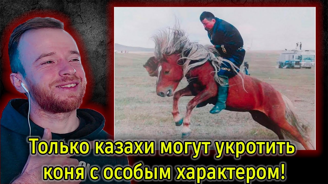 Реакция | Только казахи могут укротить коня с особым характером! | KOLA KZ