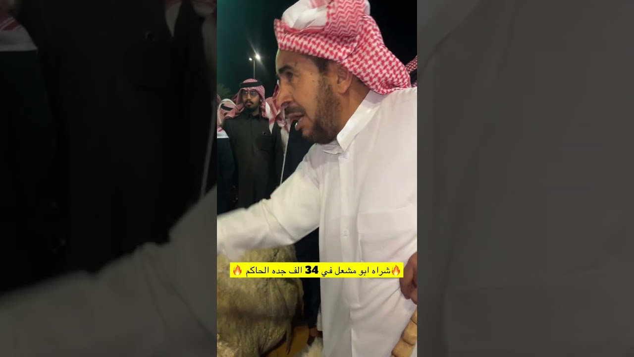 قعود جده الحاكم بن قريع ولد بعير محمد بن زايد المنصوري بيع على 34000 🔥#الابل #اكسبلور #تطبيق_حلال