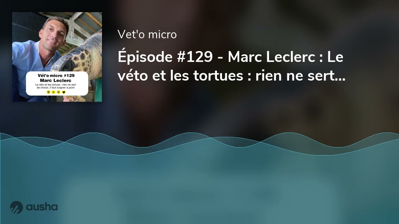 Épisode #129 - Marc Leclerc : Le véto et les tortues : rien ne sert de choisir, il faut soigner à po