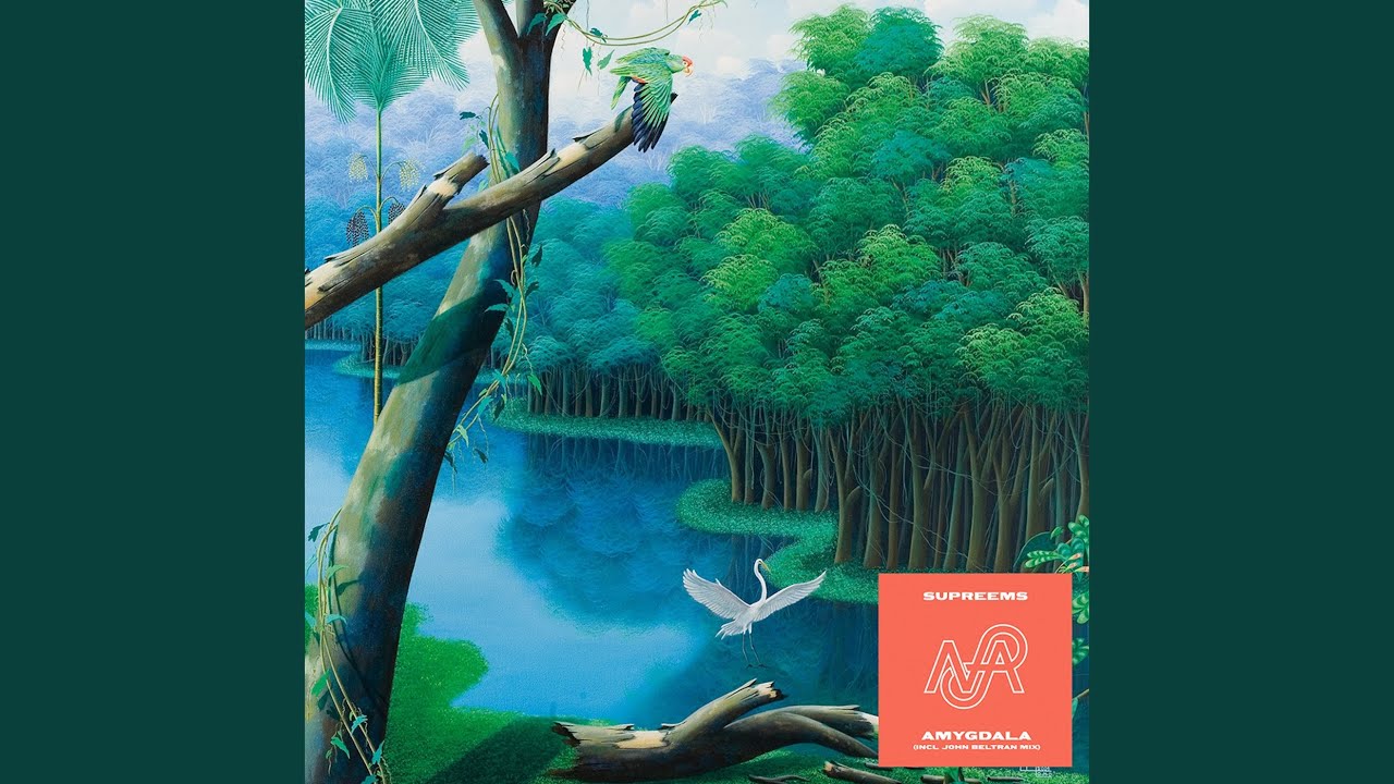 Amygdala (John Beltran's Summer Drive Mix)