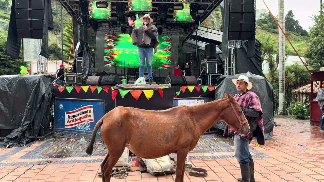 El mejor arriero en Mutiscua Norte De Santander es una muestra de tradiciones campesinas #caballos 