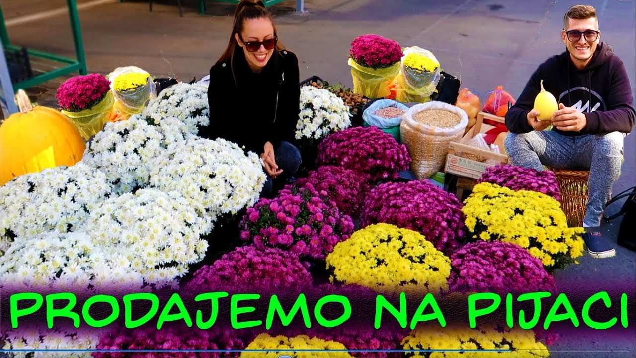 POTRAGA ZA BUNDEVOM + CUVAMO BEBE