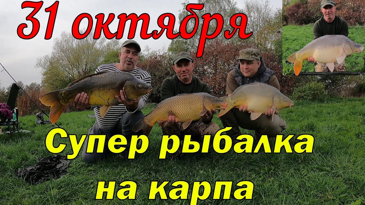 Супер рыбалка на карпа 31 октября!