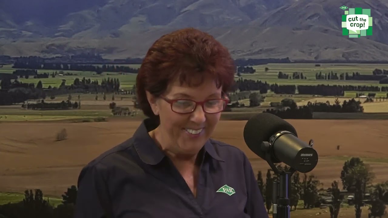 S5EP15 - What is Aphid Chat?