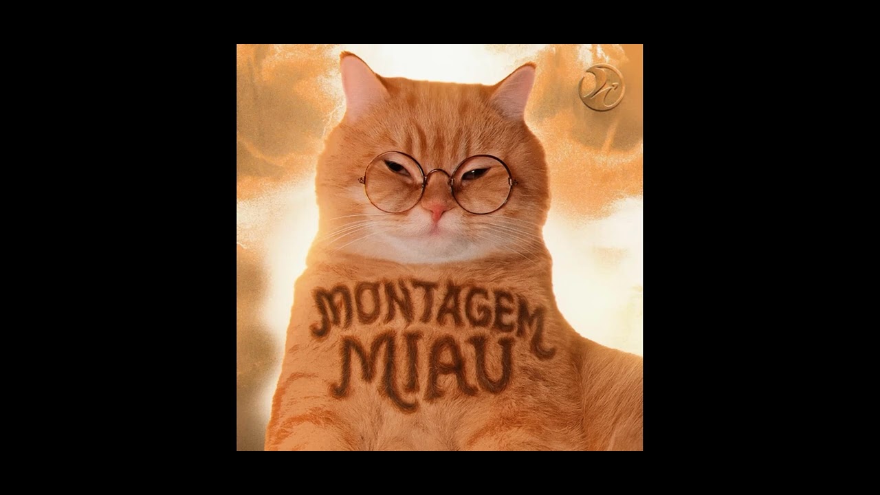 Montagem miau 