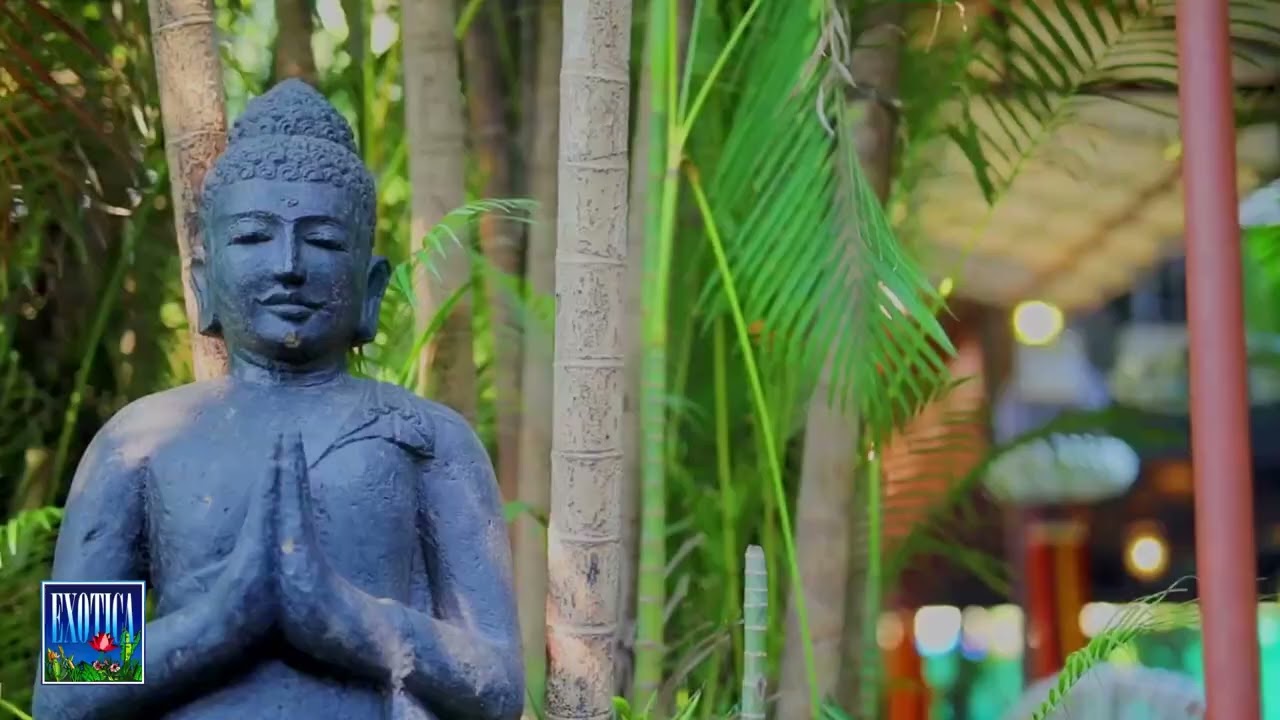 Exotica Retreat wedding venue